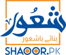 Shaoor Media Network